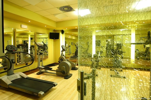 Holiday Inn BELGRADE (Belgrad)
